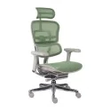 Ergohuman 2 Elite ST GS Green – Ergonomiczny fotel obrotowy