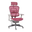 Fotel Ergohuman 2 Elite ST GS Pink – ergonomiczny i innowacyjny