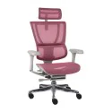 Ergonomiczny Fotel IOO 2 GS Pink do Biurka - Komfort i Styl