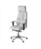 Fotel ergonomiczny BUSINESS Comfort – komfort i wsparcie kręgosłupa