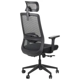 Ergonomiczne krzesło biurowe WISTER Stema