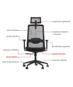 Ergonomiczne krzesło biurowe WISTER Stema