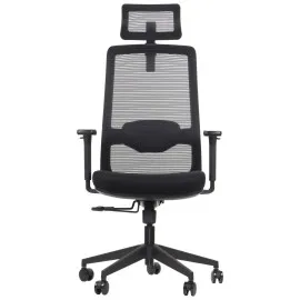 Ergonomiczne krzesło biurowe WISTER Stema