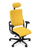 Ergonomiczne krzesło XENIUM UPH Freework Nowy Styl
