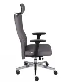 Fotel ergonomiczny TEAM PLUS HD Chrome Grospol