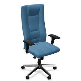 Ergonomiczny fotel INVITUS R17M steel44 chrome