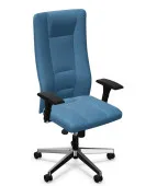 Ergonomiczny fotel INVITUS R17M steel44 chrome