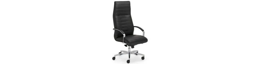 Fotele gabinetowe do biurka - elganckie, skórzane, obrotowe - Kamila Meble